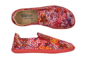 HARVARD KATRINA RED