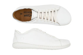 HARVY WHITE